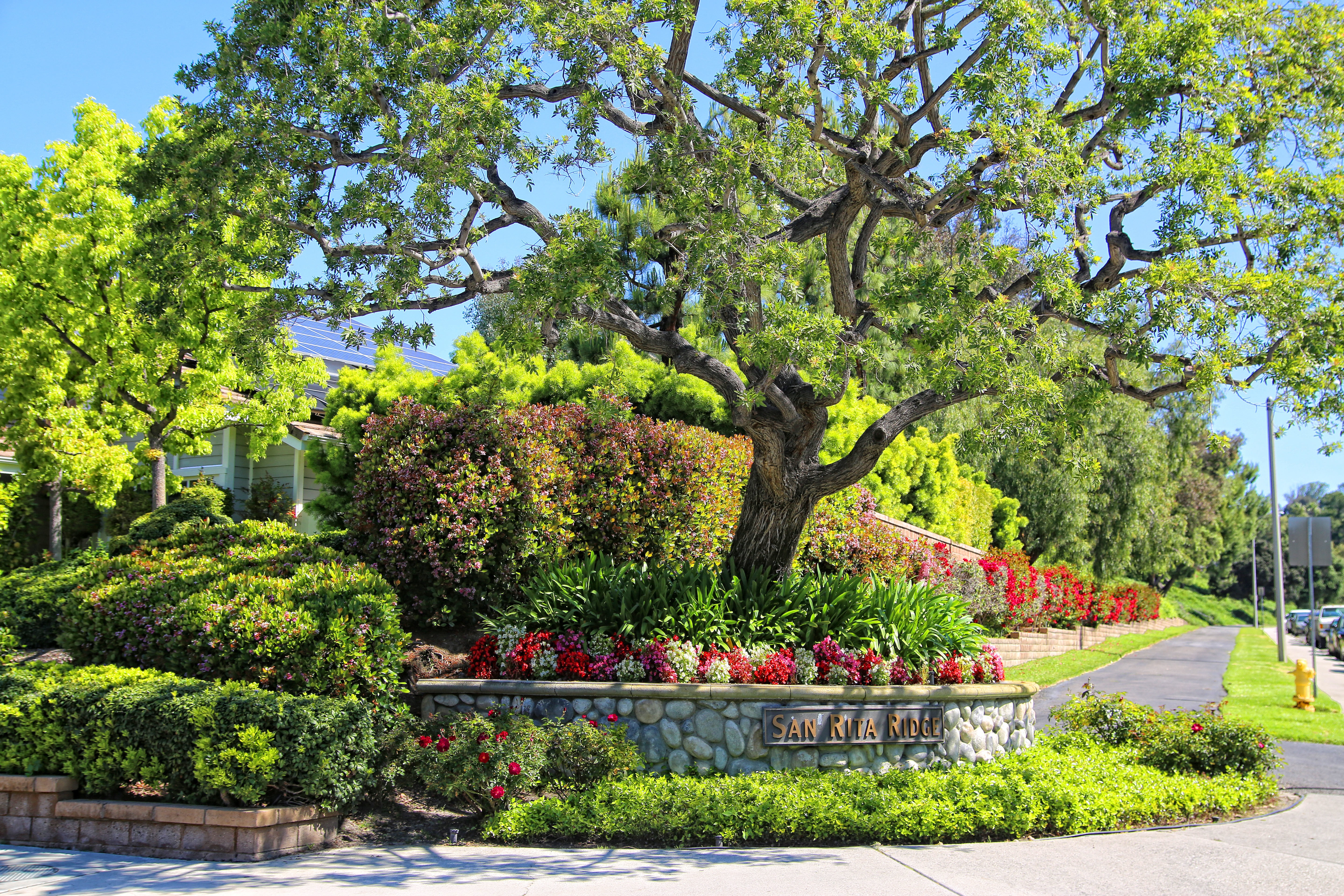 Work Image